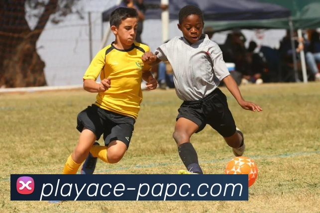 PA电子官网APP 体育赛事宣传图