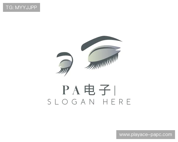 介绍PA电子集团